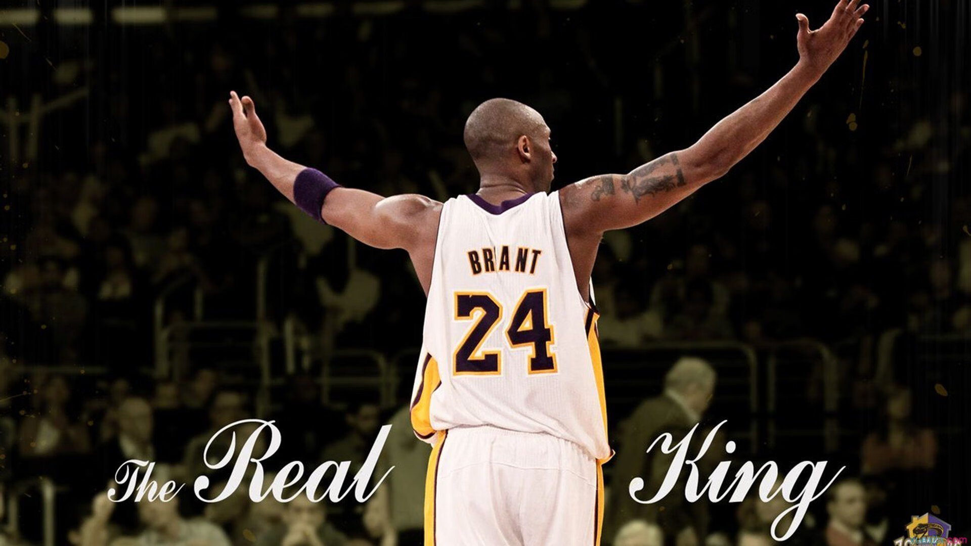 史上“最精彩”的团队配合，战术大师的杰作！，团队搭配的黄金法则